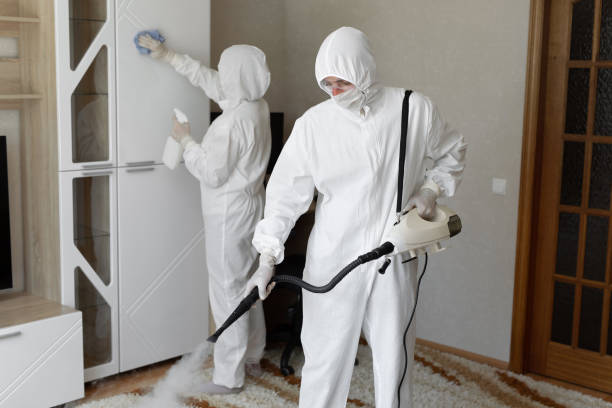 Trusted Sewage Cleanup service in Woodland, MI - Four Month Blood Cleanse